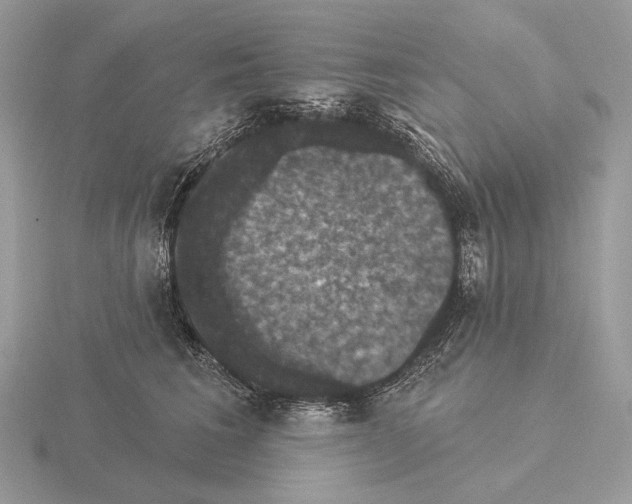 X0000115320613200912141159