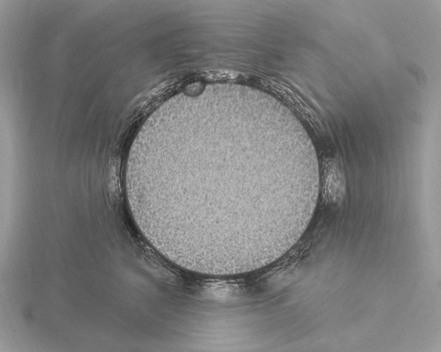 X0000115320616200912141159