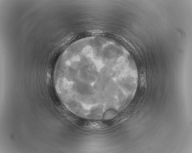 X0000115320618200912141159