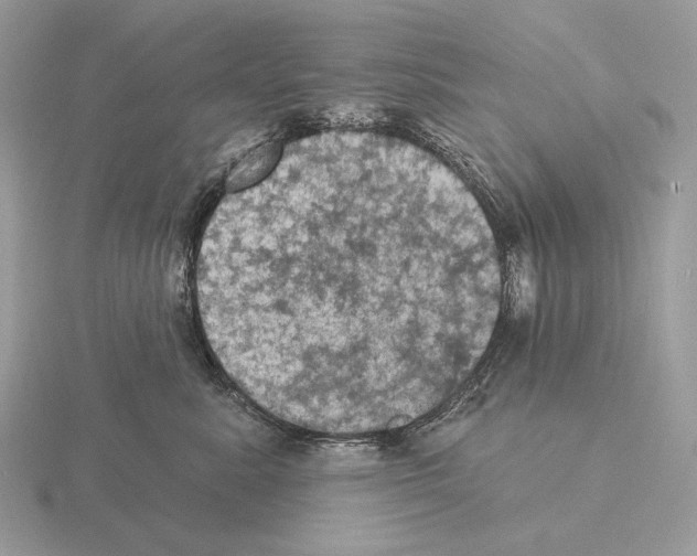 X0000115320619200912141159