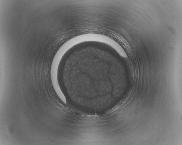 X0000115320621200912141159