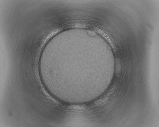 X0000115320625200912141158