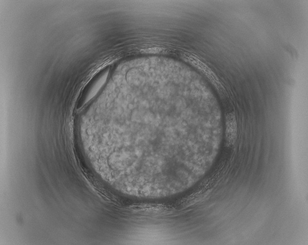 X0000115320626200912141158