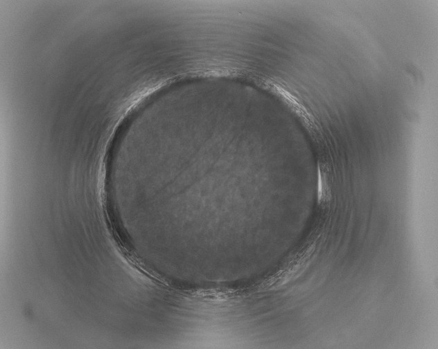 X0000115320627200912141158