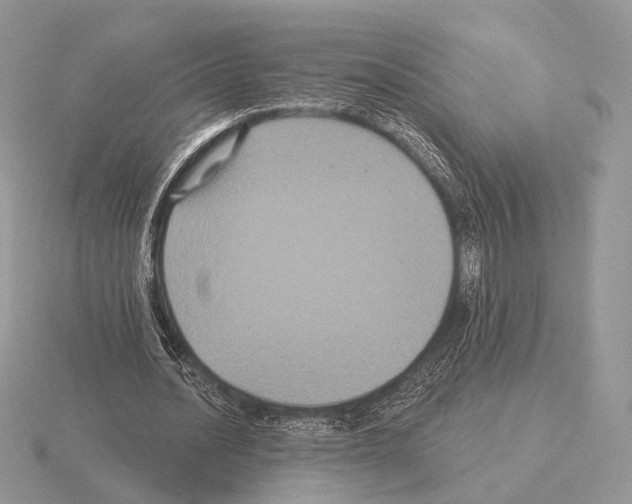 X0000115320628200912141158