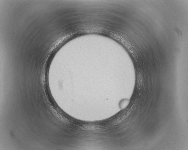 X0000115320629200912141158