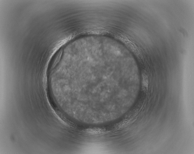 X0000115320630200912141158