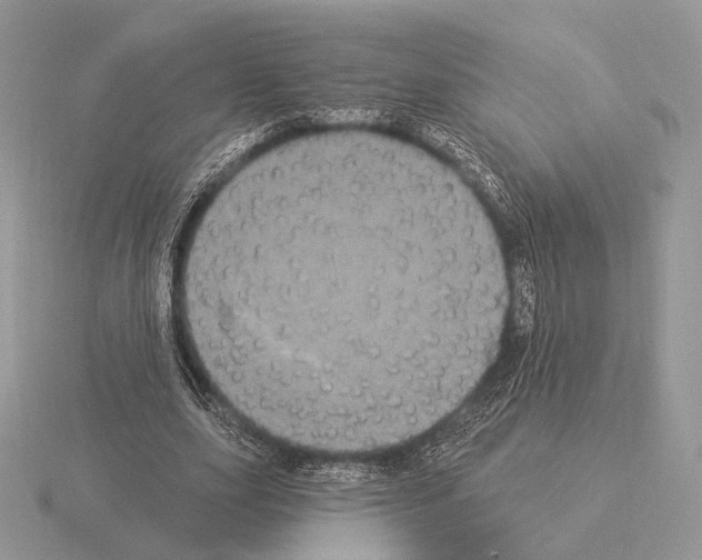 X0000115320631200912141158