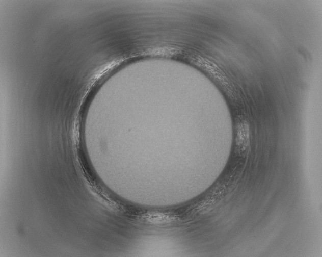 X0000115320632200912141158