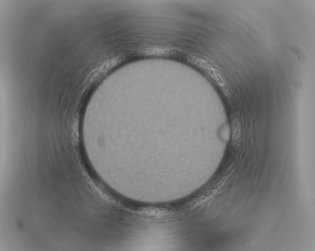 X0000115320633200912141158