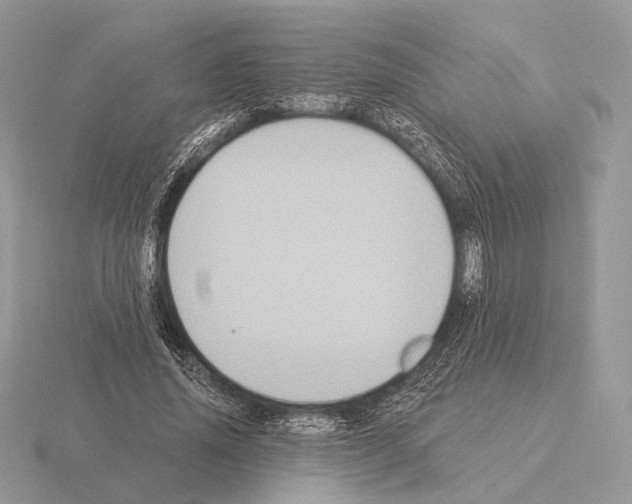 X0000115320636200912141159