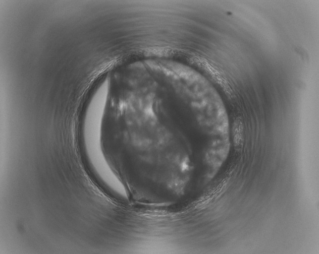 X0000115320637200912141159