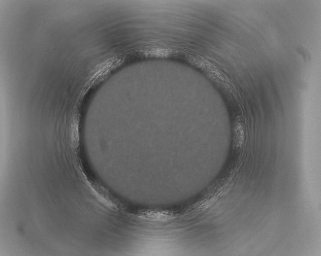 X0000115320638200912141159