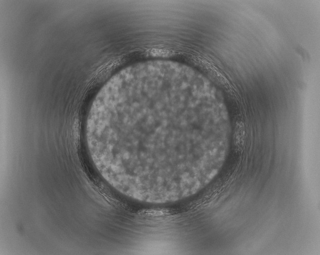 X0000115320639200912141159