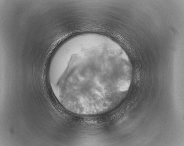 X0000115320640200912141159