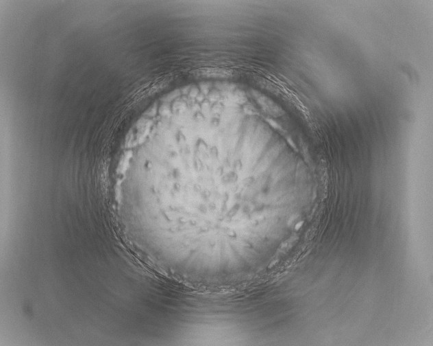 X0000115320641200912141159