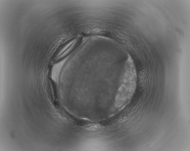 X0000115320642200912141159