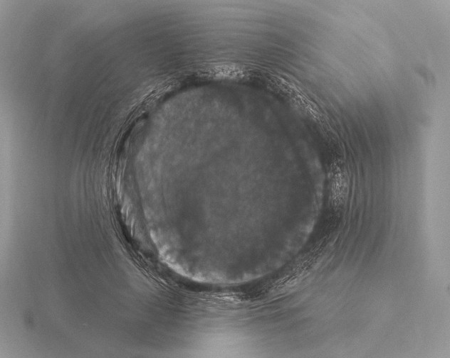 X0000115320643200912141159