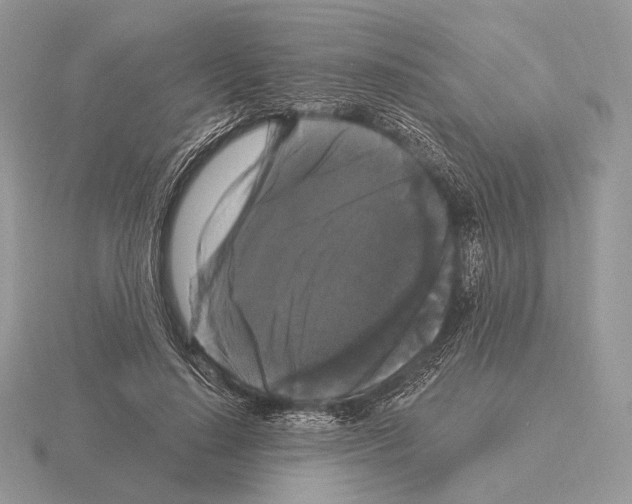 X0000115320644200912141159