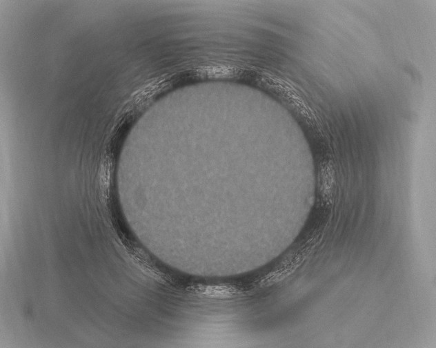 X0000115320645200912141159