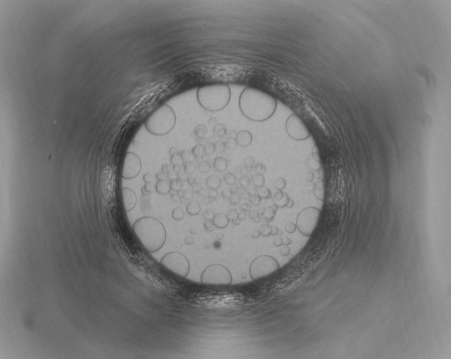 X0000115320646200912141159