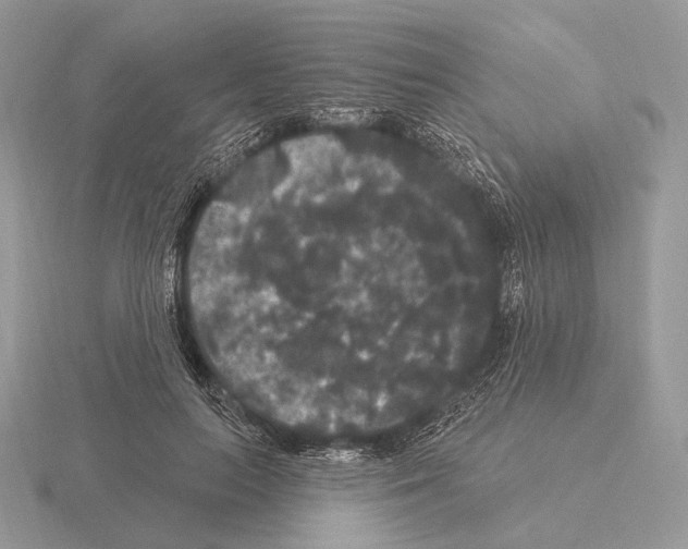 X0000115320647200912141159