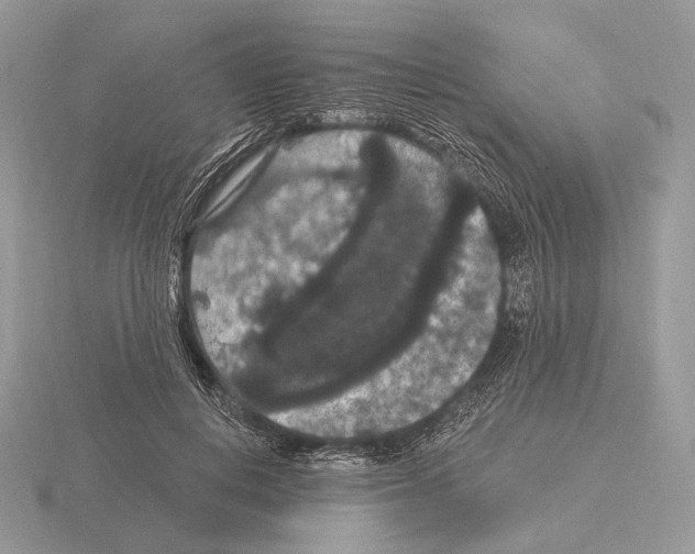 X0000115320648200912141159