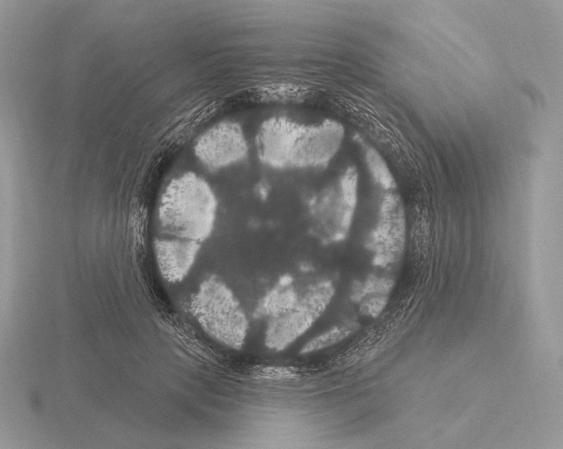 X0000115320649200912141159