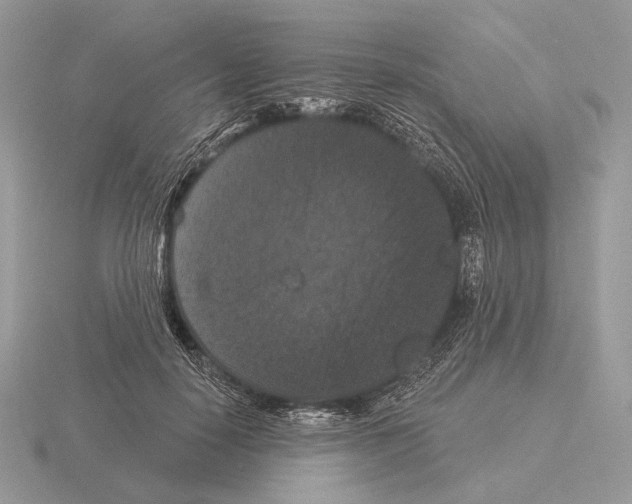 X0000115320650200912141159