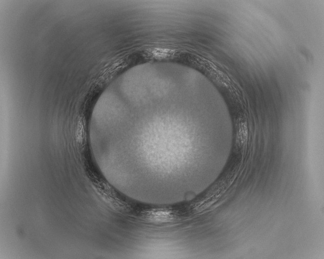 X0000115320651200912141159