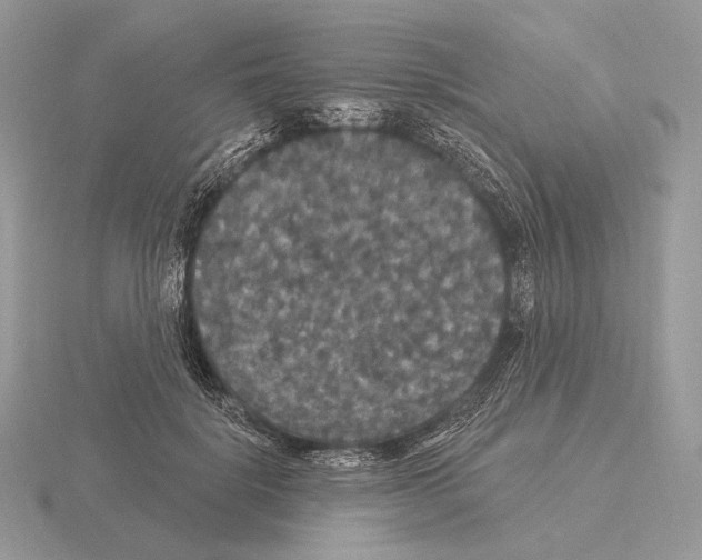 X0000115320652200912141159