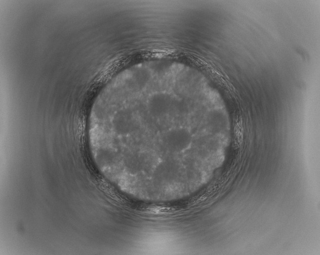 X0000115320657200912141159