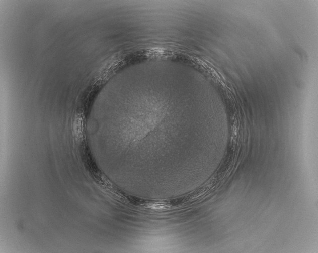 X0000115320659200912141159