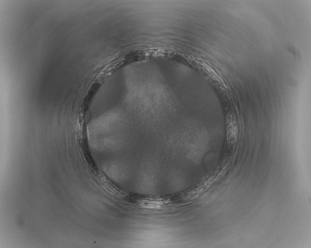 X0000115320661200912141159