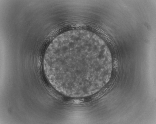 X0000115320662200912141159