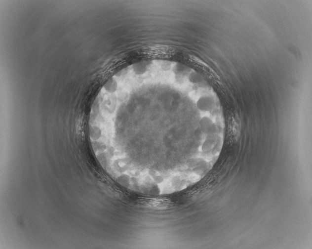 X0000115320663200912141159