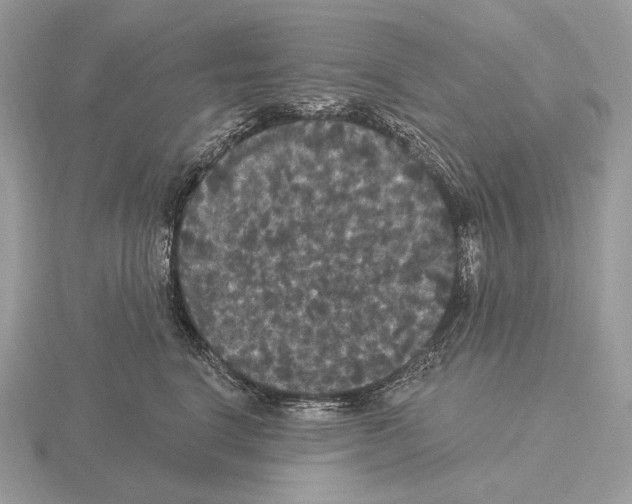 X0000115320664200912141159