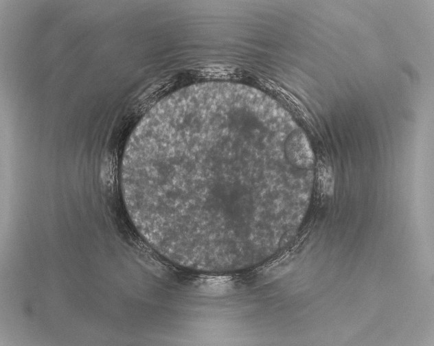 X0000115320665200912141159