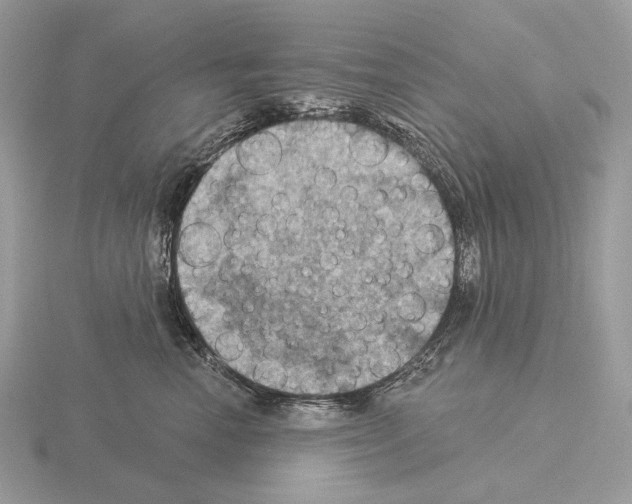 X0000115320666200912141159