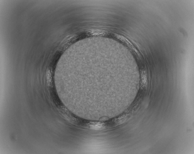 X0000115320667200912141159