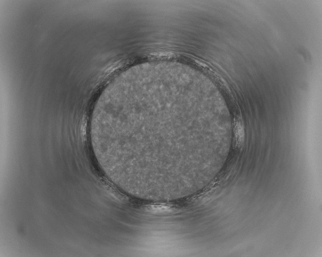 X0000115320668200912141159