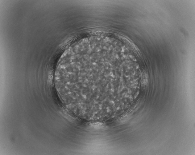 X0000115320669200912141159