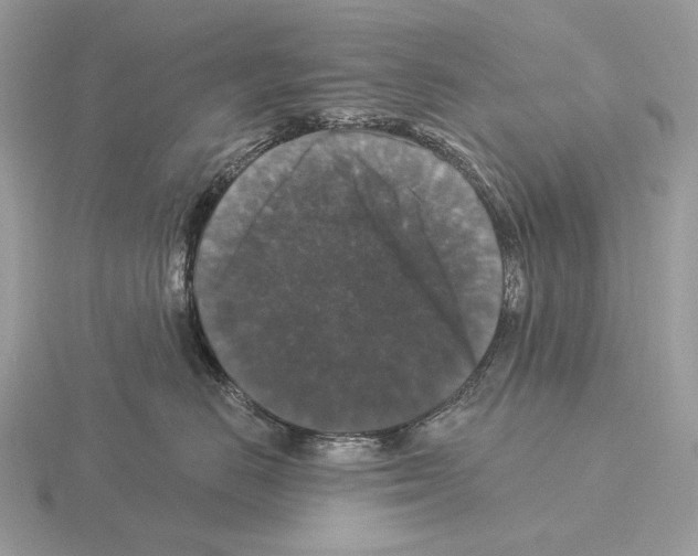 X0000115320670200912141159