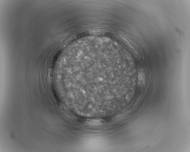 X0000115320671200912141159