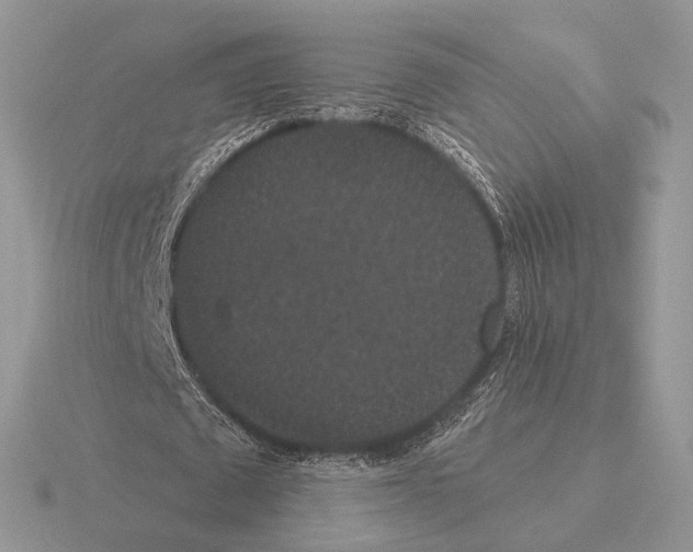 X0000115320673200912141158