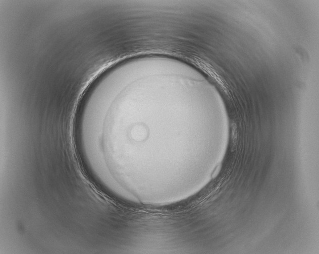 X0000115320676200912141158