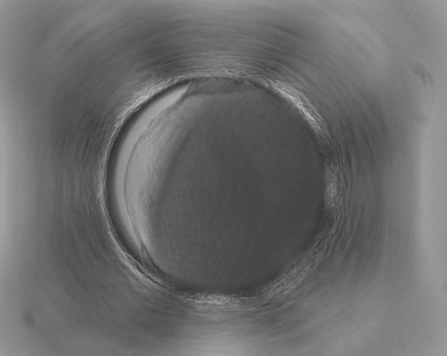 X0000115320677200912141158