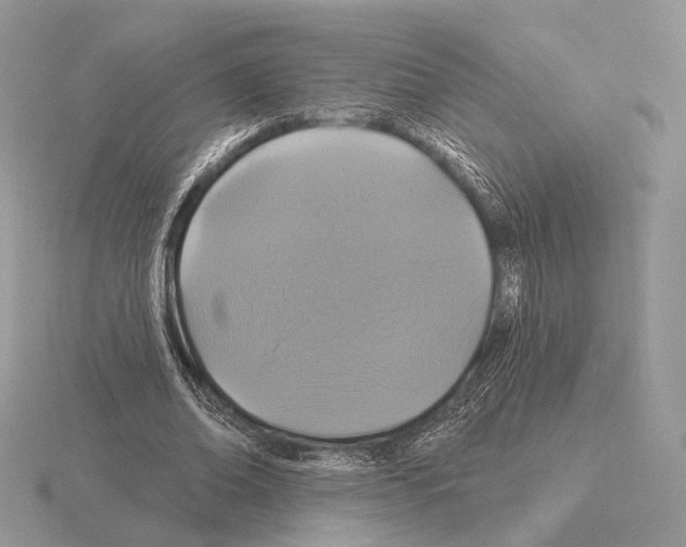 X0000115320678200912141158