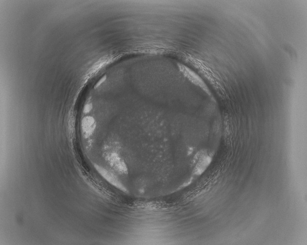 X0000115320679200912141158