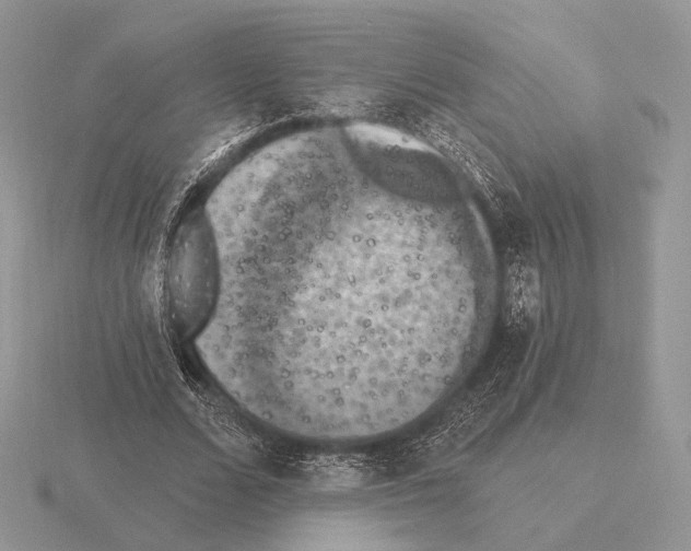 X0000115320680200912141158